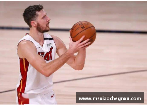 RAYBET雷竞技官网NBA球员德拉季奇的职业生涯及其对球队的影响